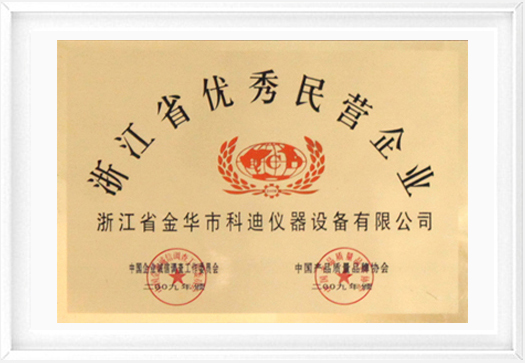 中國最具成長力民營企業(yè)100強